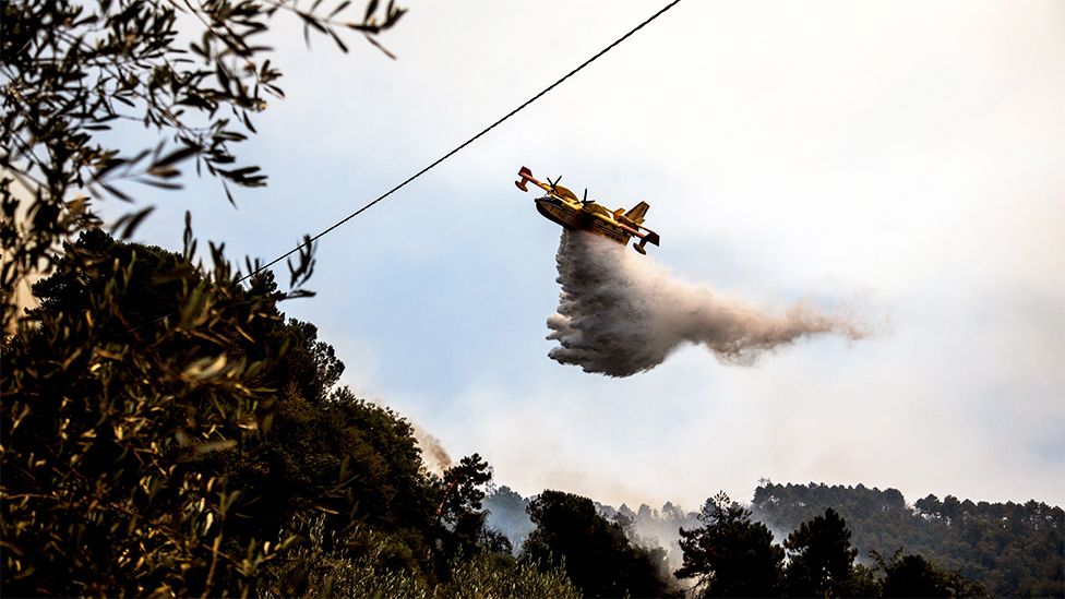 An aircraft drops water on a wildfire in Italy