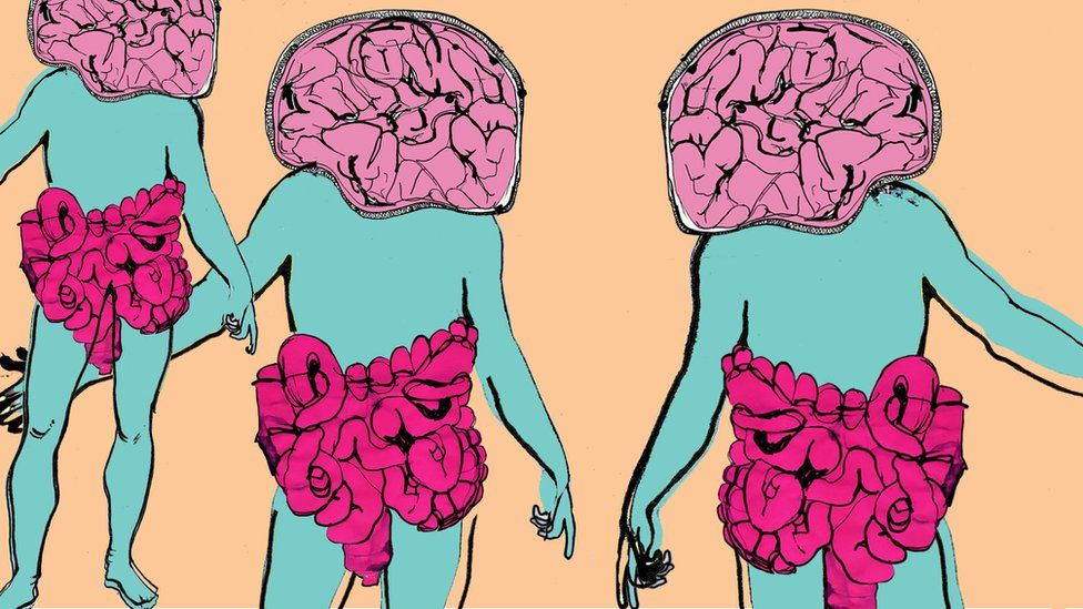 Gut-Brain illustration