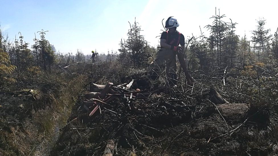 Fire officer tackles Fauldhouse wildfire