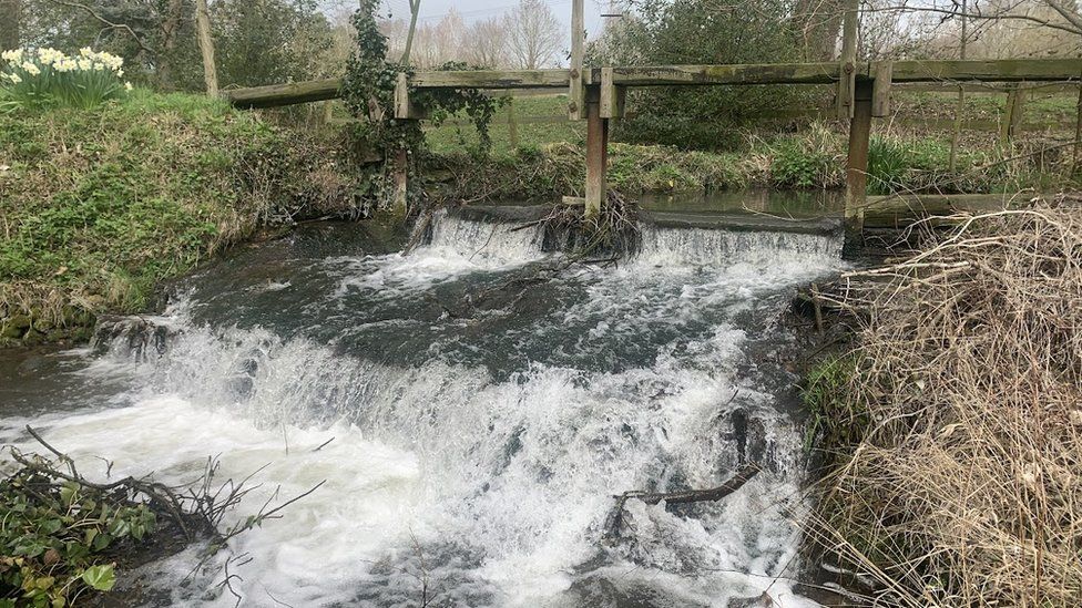 Image of the weir at the Chalgrove Brook