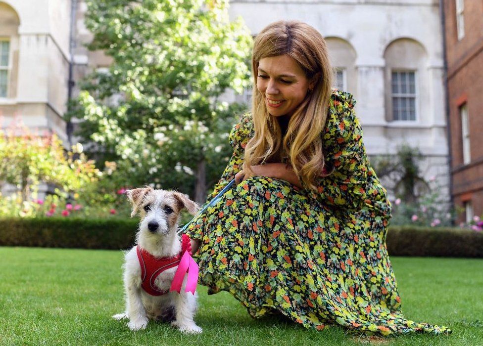 Carrie Symonds posted pictures with her new pet