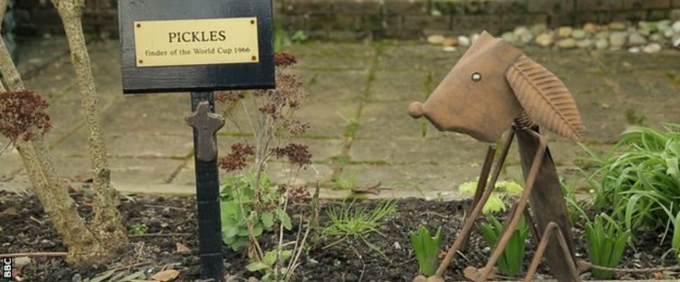 how-pickles-the-dog-found-the-world-cup-trophy-50-years-on-bbc-sport