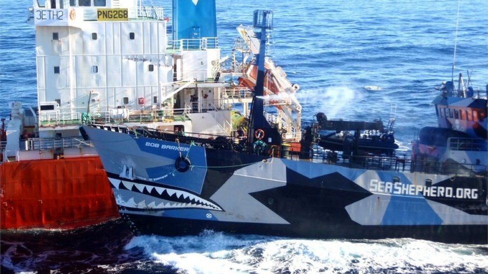 Sea Shepherd vessel Bob Barker collides with Japanese whaling vessel San Laurel in Antarctic waters (25 Feb 2013)
