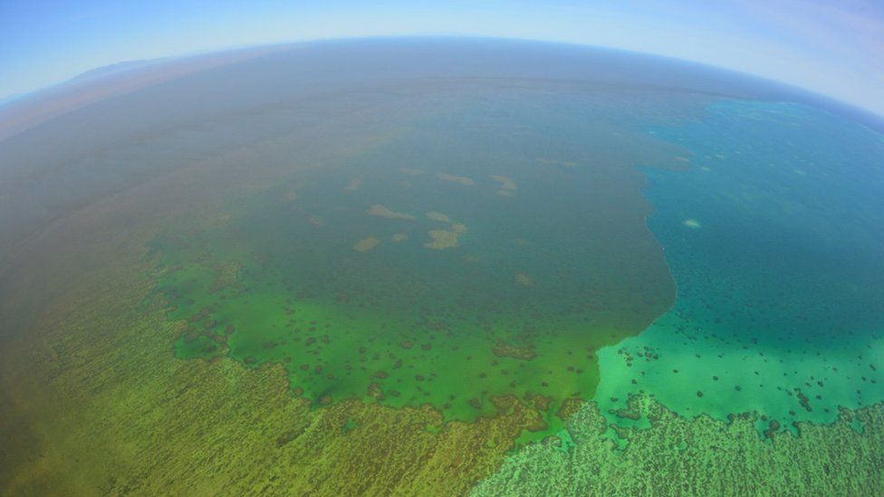 A floodwater plume extends onto Old Reef on the mid-shelf of the Great Barrier Reef in Queensland