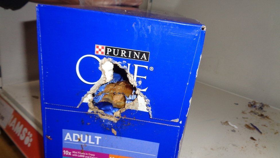 Damaged cat food box