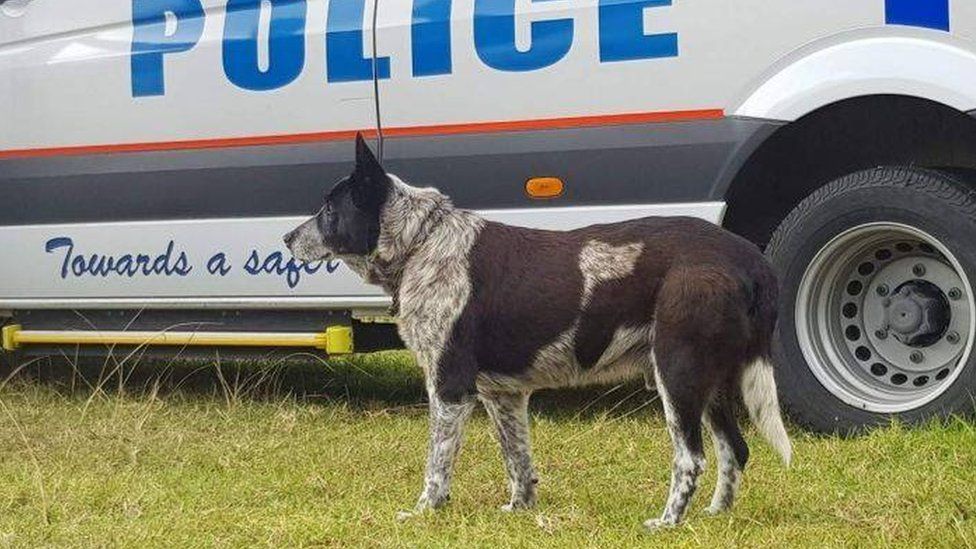 Max stands next to a police vehicle