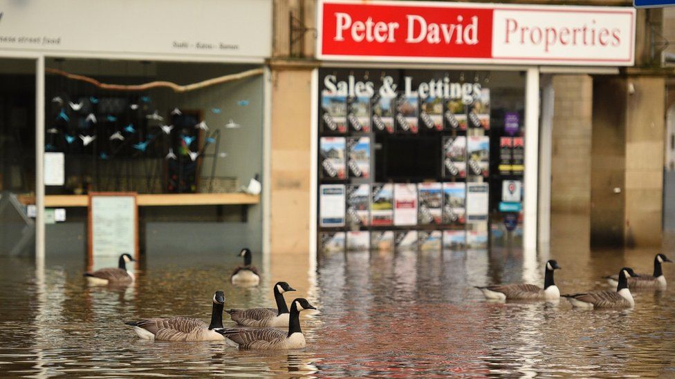 Geese swimming in flooded Hebden Bridge