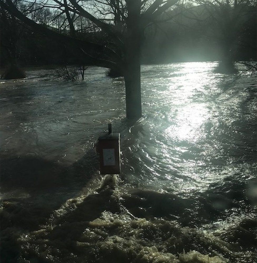 Flooded wood at Llanfair Talhaiarn