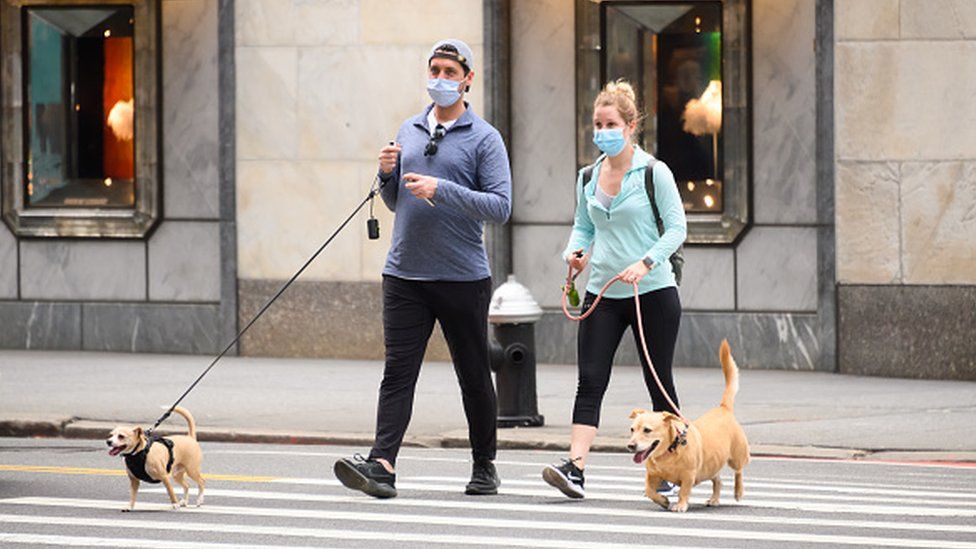 People wear protective face masks while walking dogs on Fifth Avenue in New York
