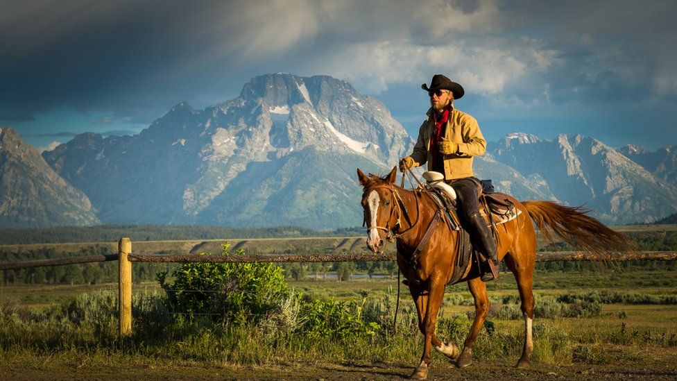 Cowboy on a horse in Wyoming