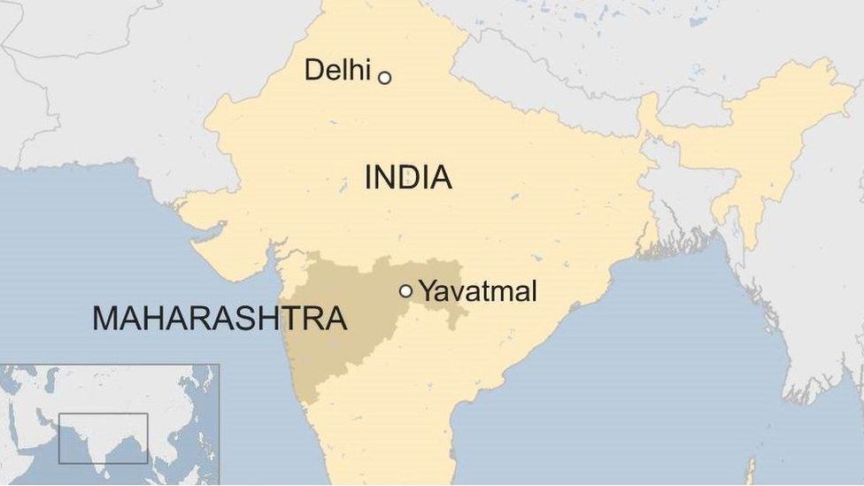 India top court rejects appeal to save 'maneating' tiger BBC News