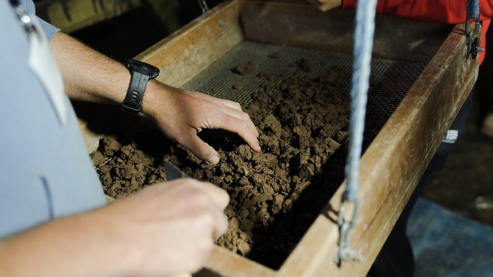 Material being sifted through at Wogan Cavern by archaeologists
