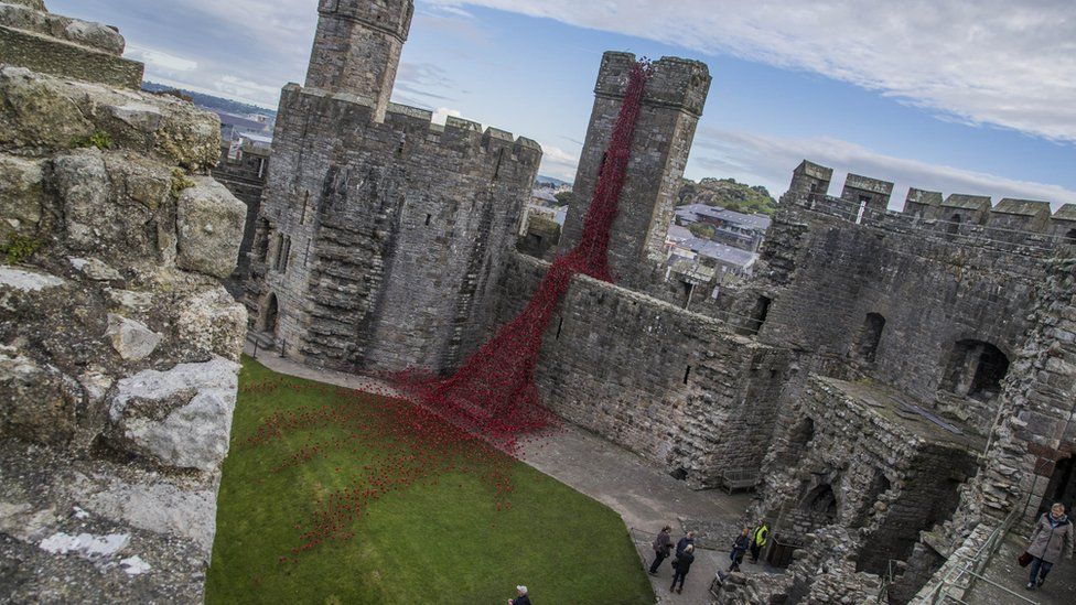 WW1 Weeping Window poppies on show at Caernarfon Castle BBC News
