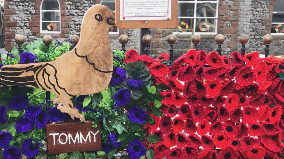 Tommy the Pigeon model with poppies