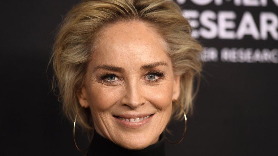 Sharon Stone pictured in February 2019