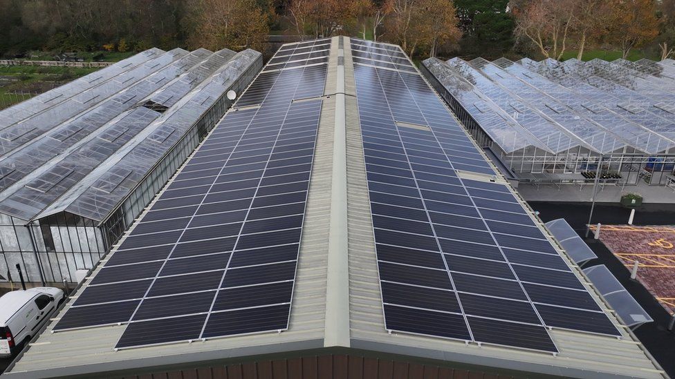 Solar panels at Grow