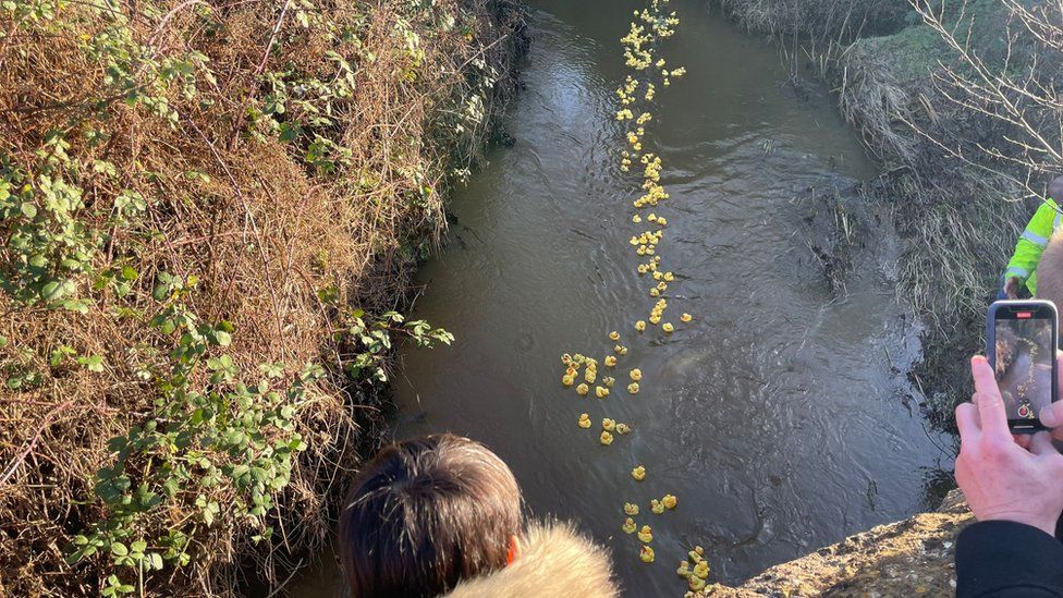 The annual Middle Rasen duck race