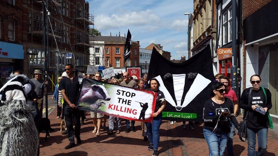 Badger cull march in Derby on 11 August