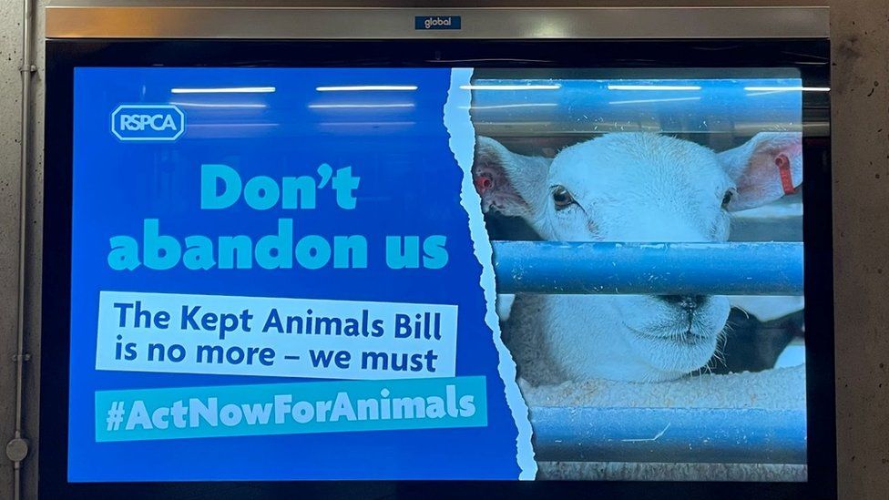 RSPCA advert in Westminster calling for MPs to back the return of the Kept Animals Bill