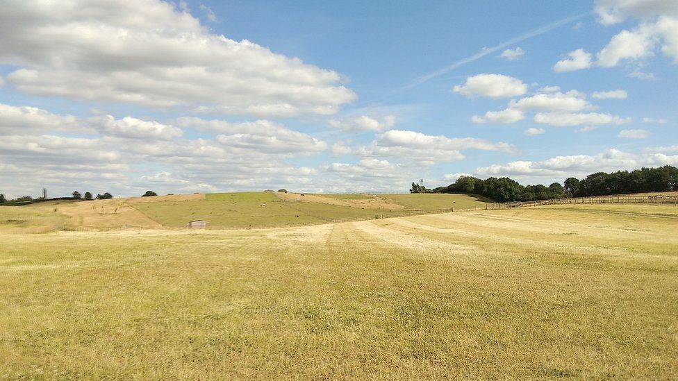 Blidworth Owners told to remove green belt horse shelters BBC News