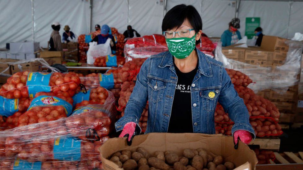 Jen Woo, a librarian from the West Portal branch, sorts potatoes on her volunteer shift at the SF-Marin Food Bank