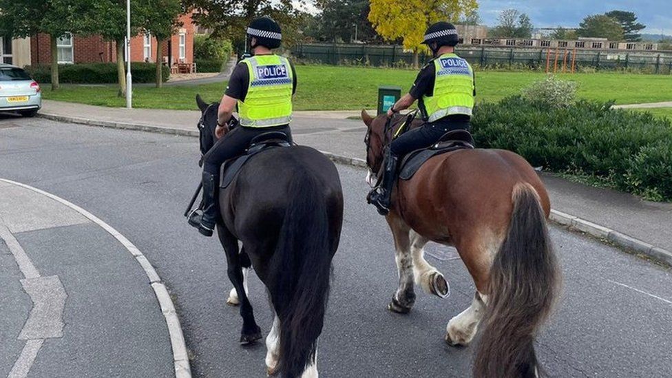 Police horses Viktor and Triton