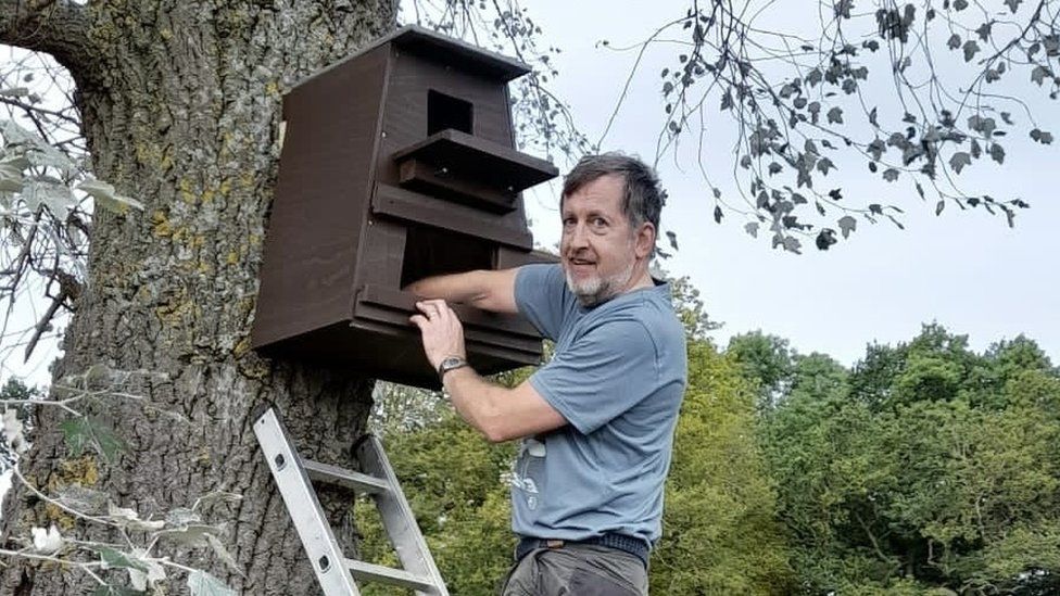 Man with dark hair and grey beard climbing a ladder and putting his arms into a wooden bird box fixed to a tree