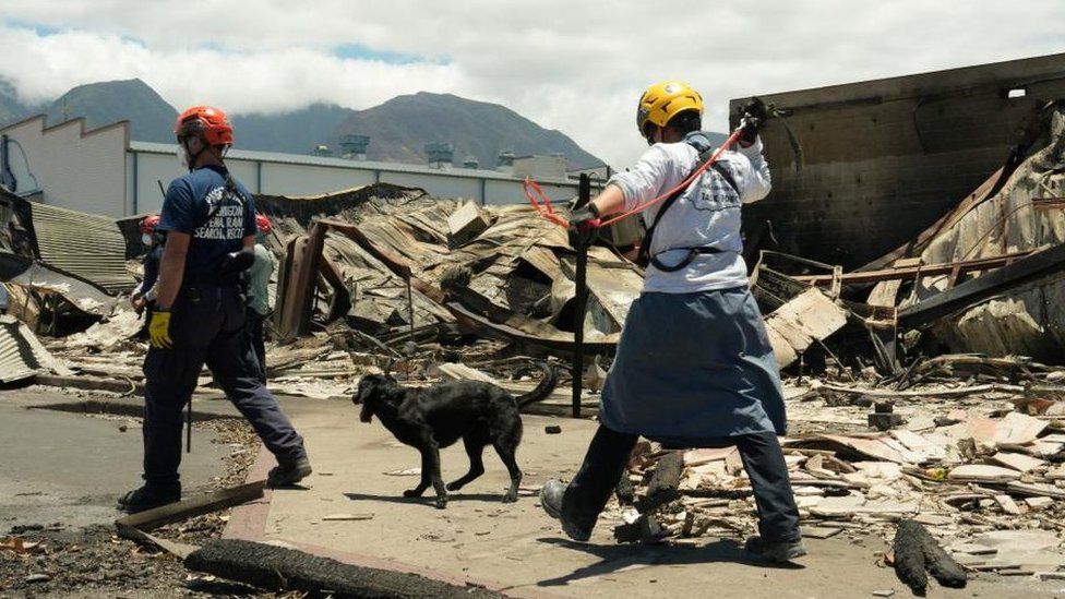 Спешни служители претърсват разрушените квартали в град Лахайна на Мауи, Хавай