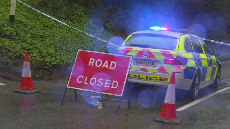 Man Dies After Falling Tree Hits Car In Devon - BBC News