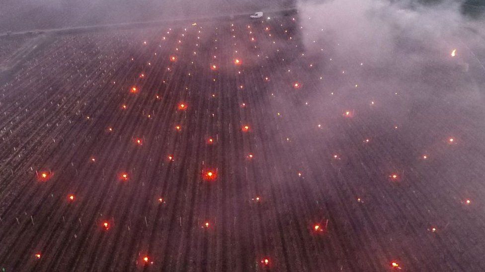 Aerial view of smoke rising from fires lit in the vineyards to protect them from frost at the heart of the Vouvray vineyard in Touraine on 7 April