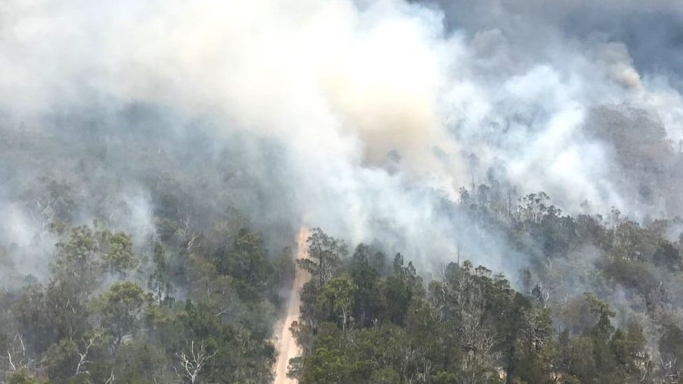 A huge bushfire on Fraser Island