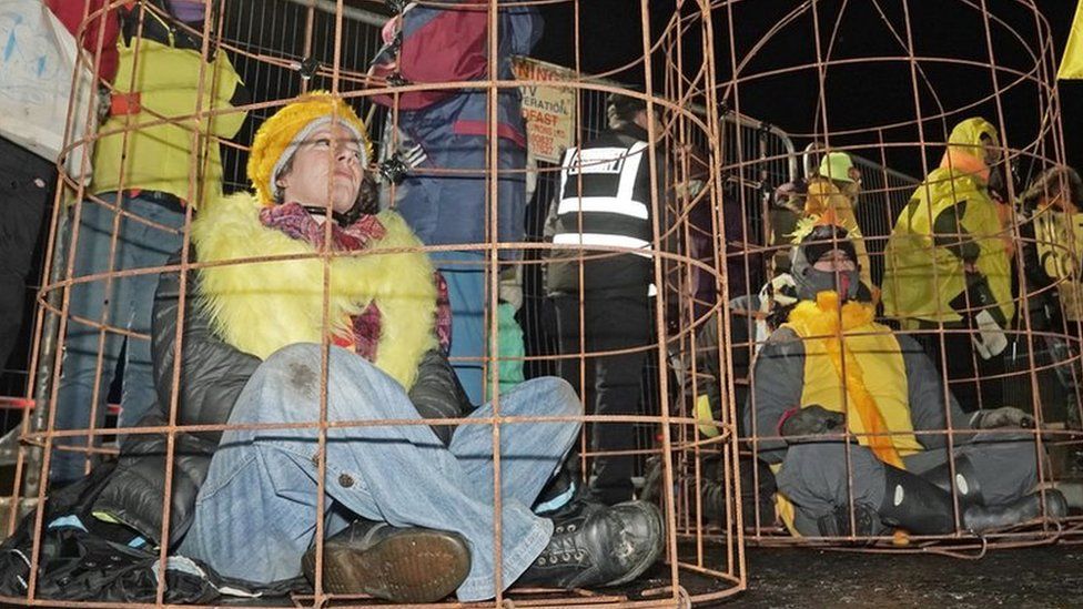 Protestor dressed as canary