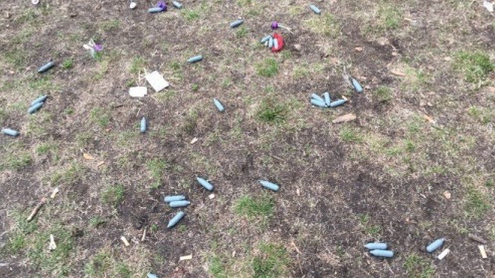 Laughing gas canisters on grass