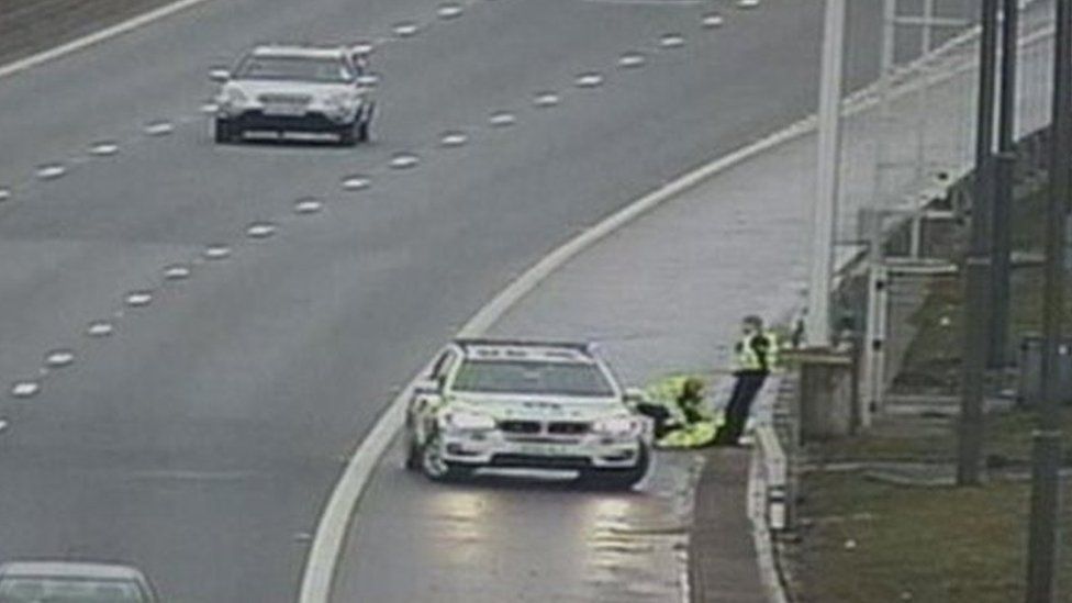 Police removed the swan from the M74