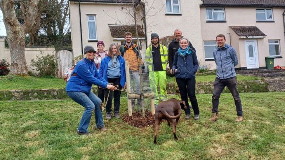 The Forest for Cornwall team