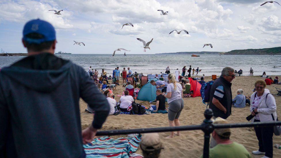 Seagulls divebombing people on Scarborough beach