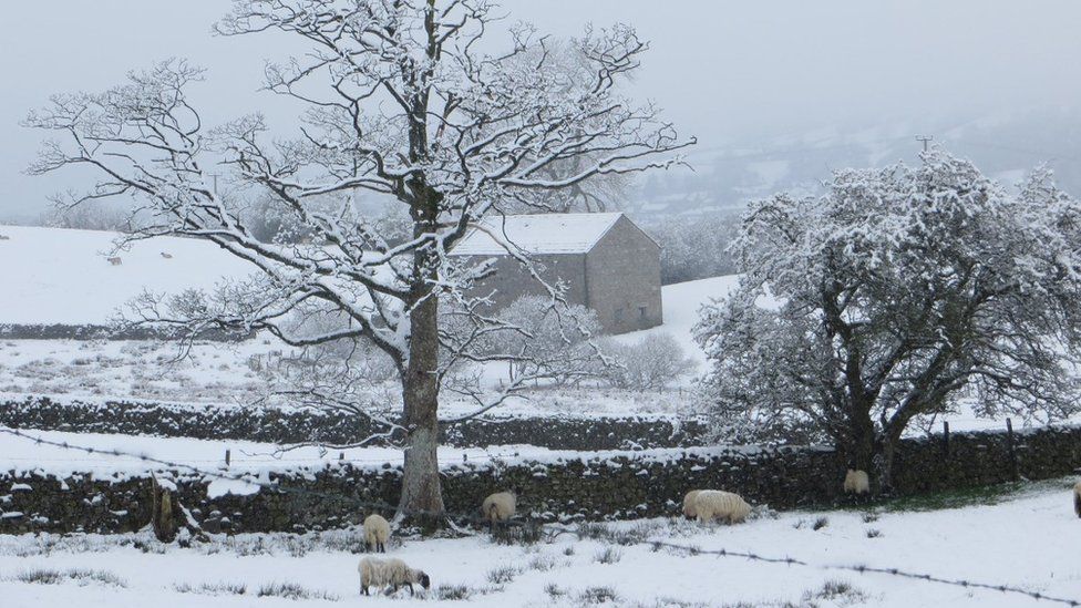 A snow-covered house and field in Sedbergh, in Cumbria