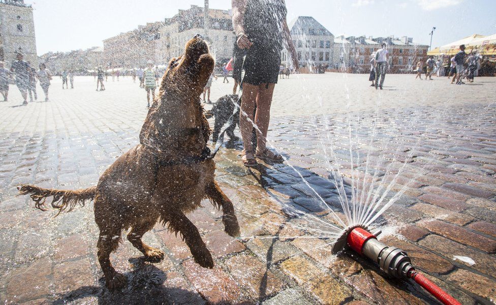 People cool themselves with sprinklers during the heat wave in Warsaw