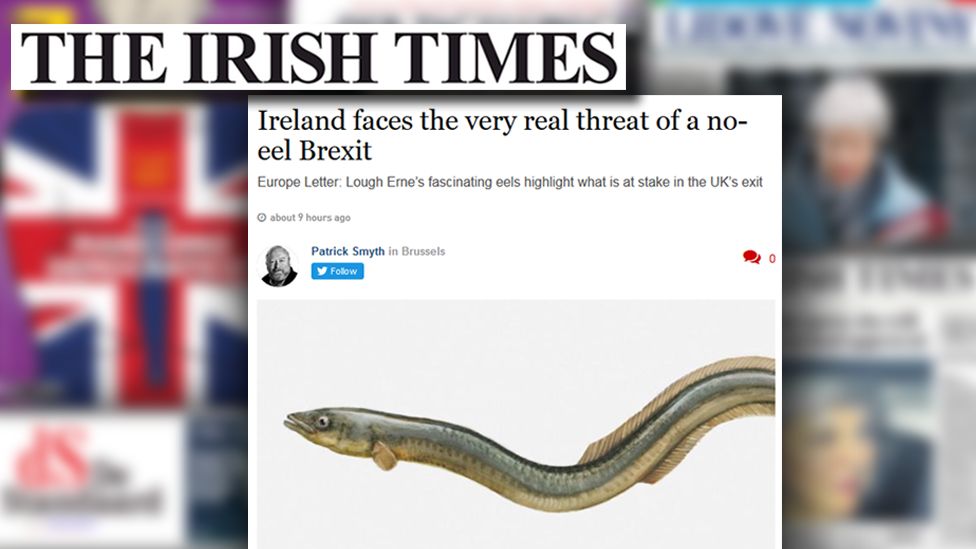 Irish Times article