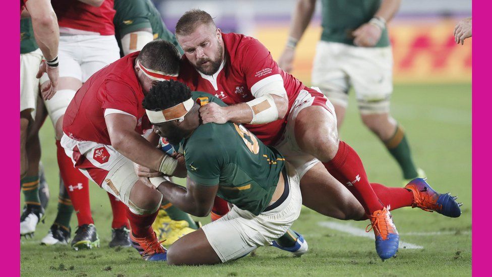 Rugby World Cup: Wales Defeated By South Africa In Semi-final - BBC ...