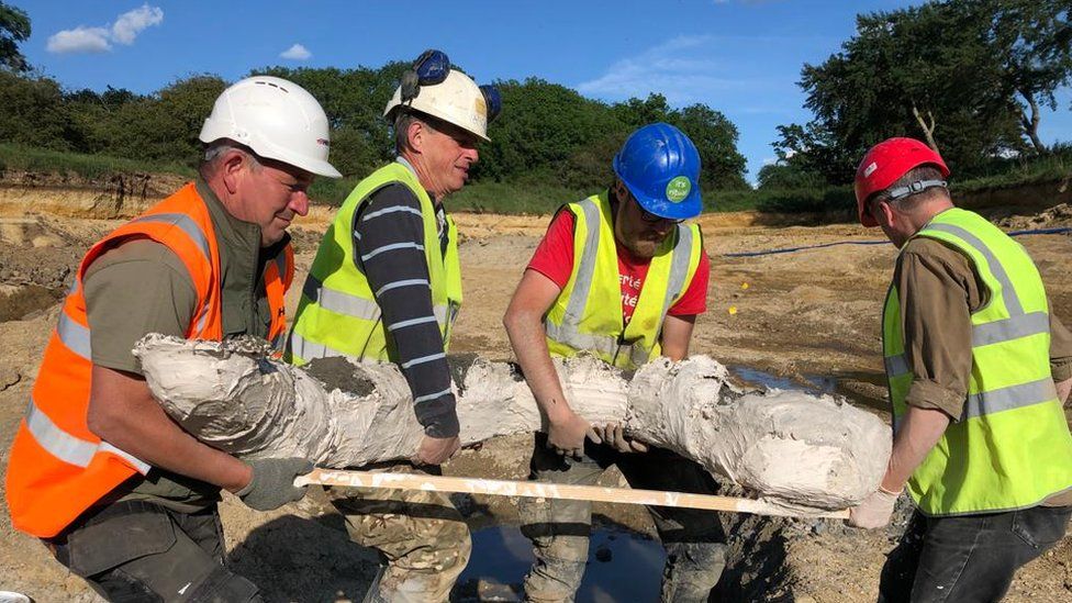 Archaeologists discover mammoth graveyard near Swindon