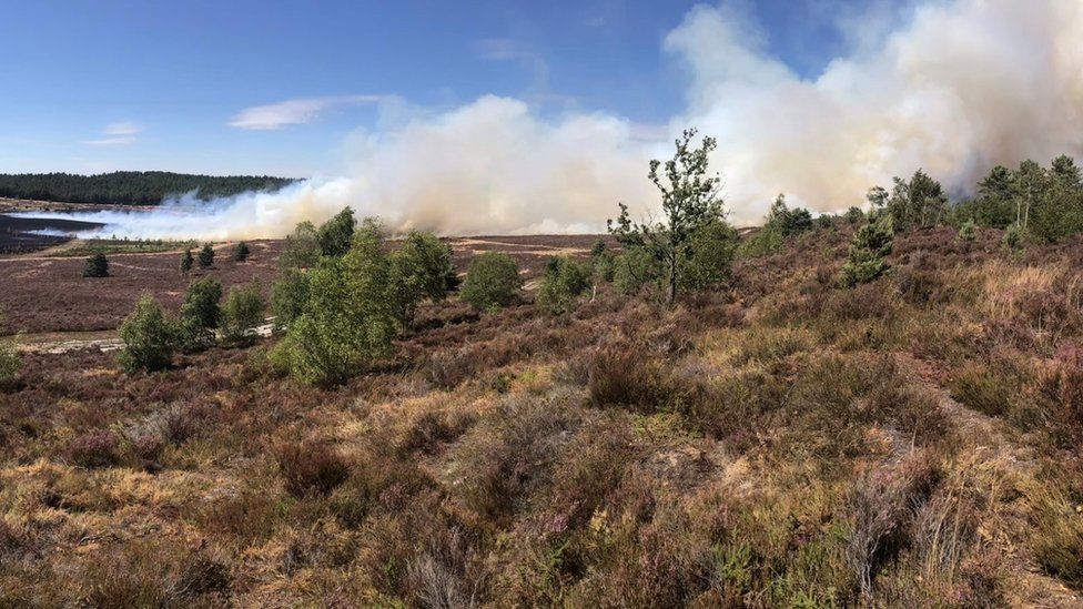 Hankley Common grass fire