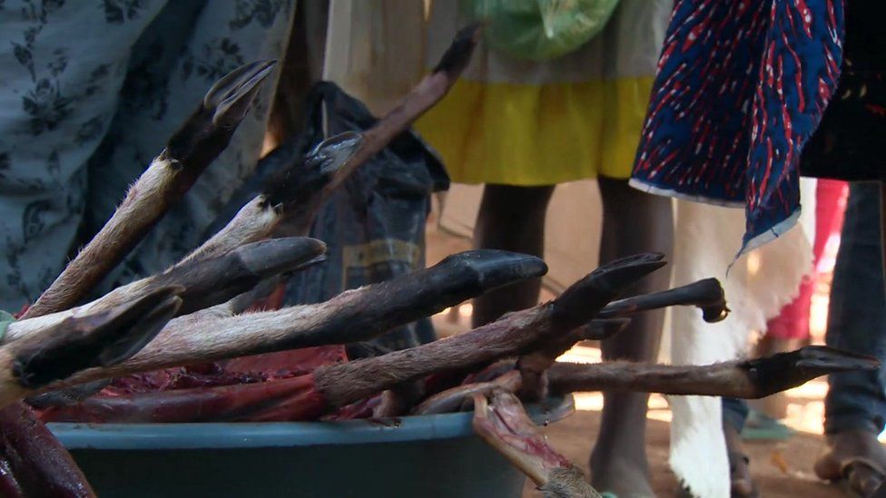 Bushmeat for sale at market in Angola June 2016