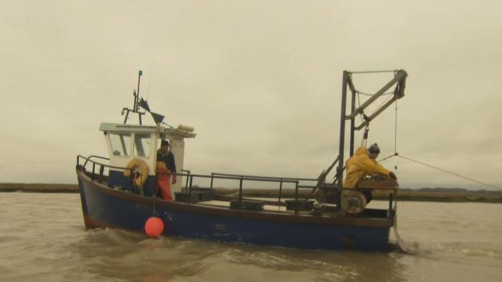 Colchester Oyster Fishery boat laying shells