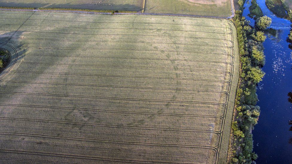 Circles revealed in a County Meath field