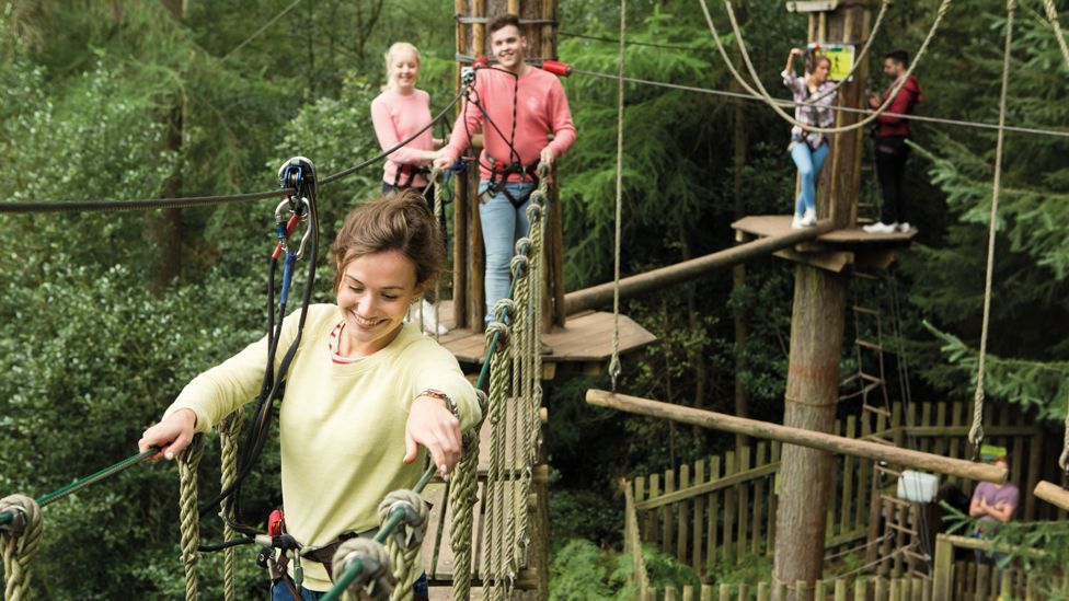 People climbing on a Go Ape course