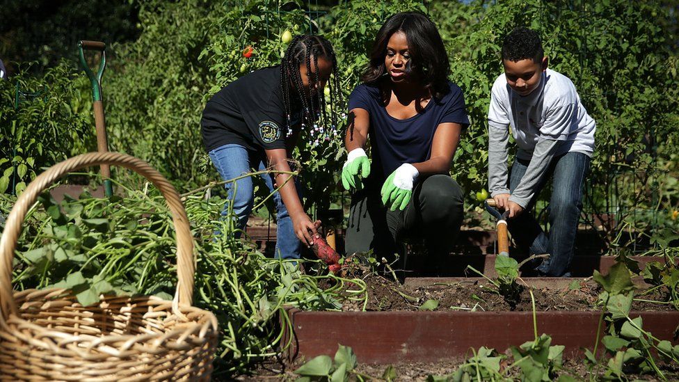 U.S. first lady Michelle Obama (C) participates with local students in the annual fall harvest of the White House Kitchen Garden October 6, 2015 at the White House in Washington, DC