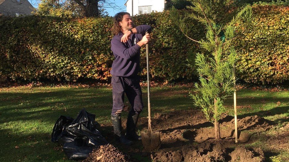 Chippenham Town Council tree planting