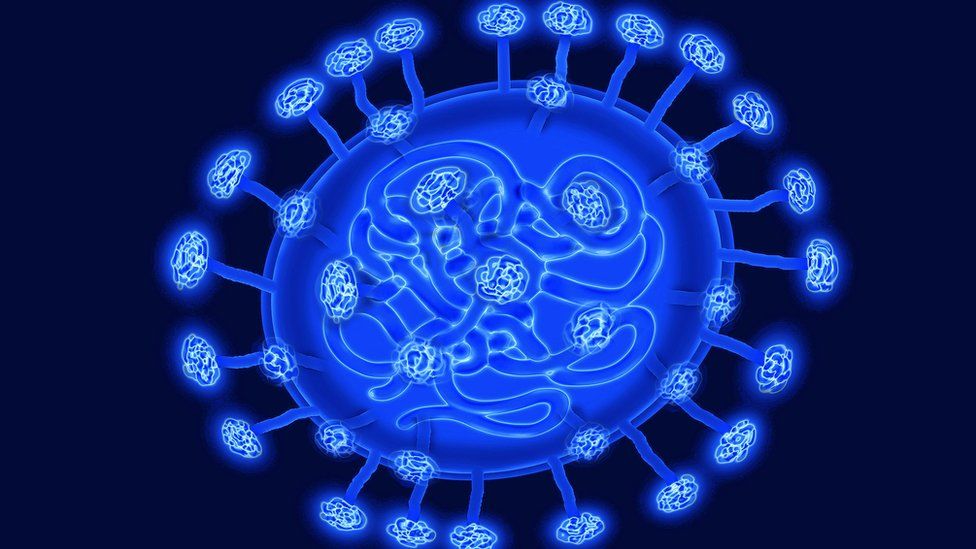 Image of a coronavirus bacteria