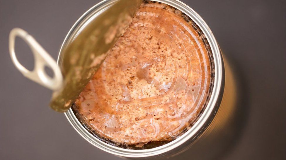 Open can of dog food